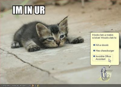 funny-pictures-lolcat-office-assistant1.jpg